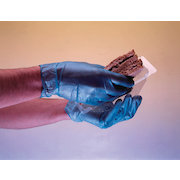 Jangro Blue Powder Free Vinyl Gloves